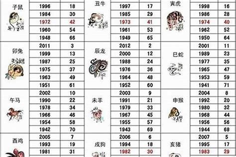 1980 年生肖|1980年属什么生肖